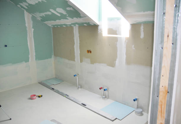 Best Basement Mold Removal  in Labelle, FL