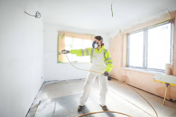 Best Attic Mold Removal  in Labelle, FL