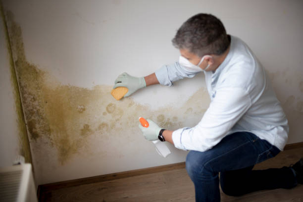 Best Air Quality Testing for Mold Spores  in Labelle, FL